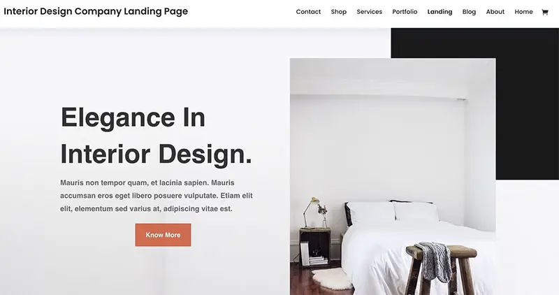 Divi Theme