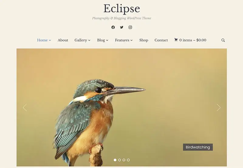 Eclipse theme