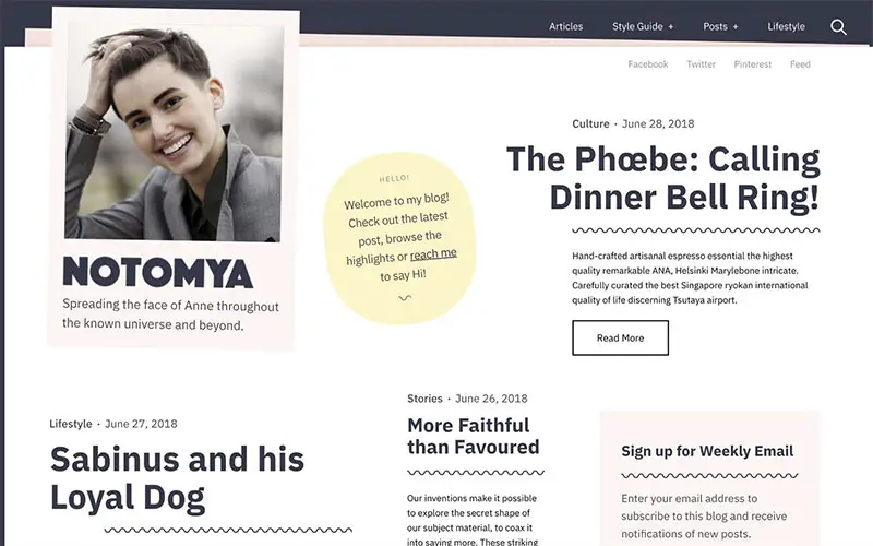 Noto is ideal for authors that also have a blog.