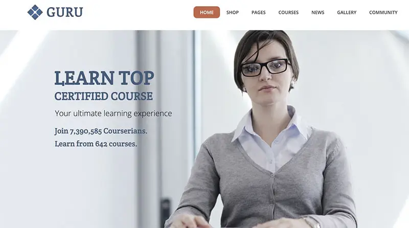 Guru WP Theme