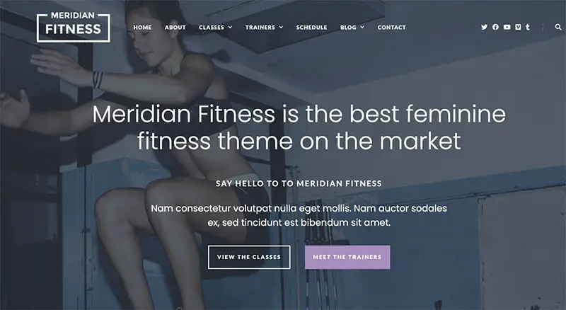 Meridian Fitness Theme