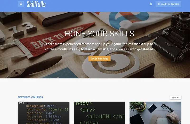 Skillfully Theme